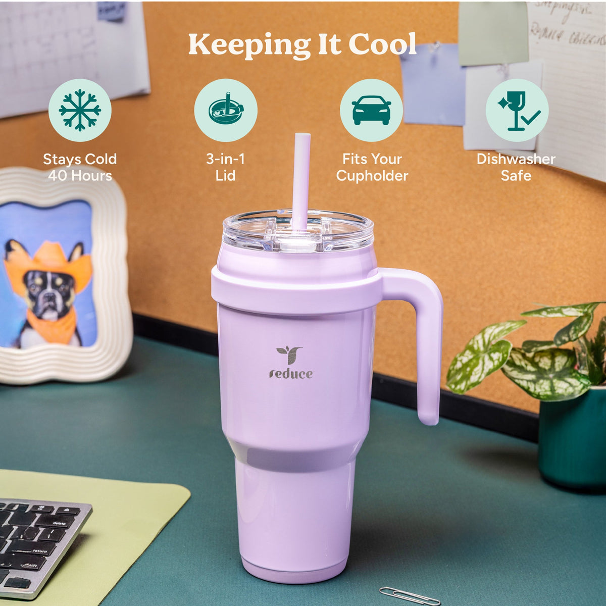 cold1-40-oz-j4 Cold1_40oz_PalmLeaf_Infographic_1.jpg