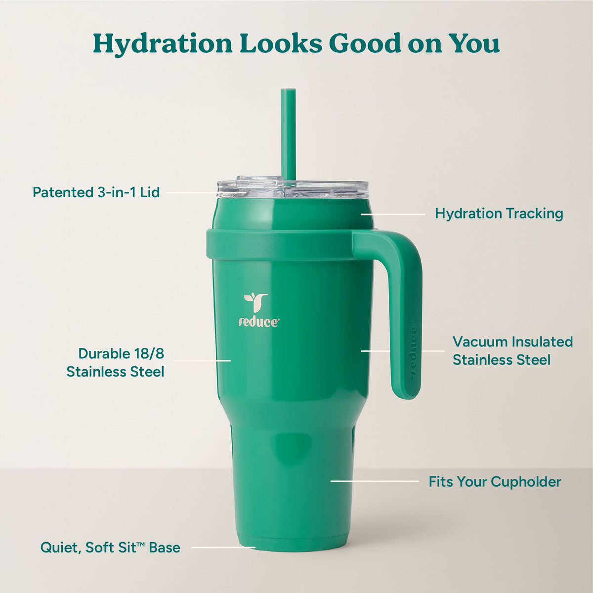 cold1-40-oz-j4 Cold1_40oz_PalmLeaf_Infographic_2.jpg