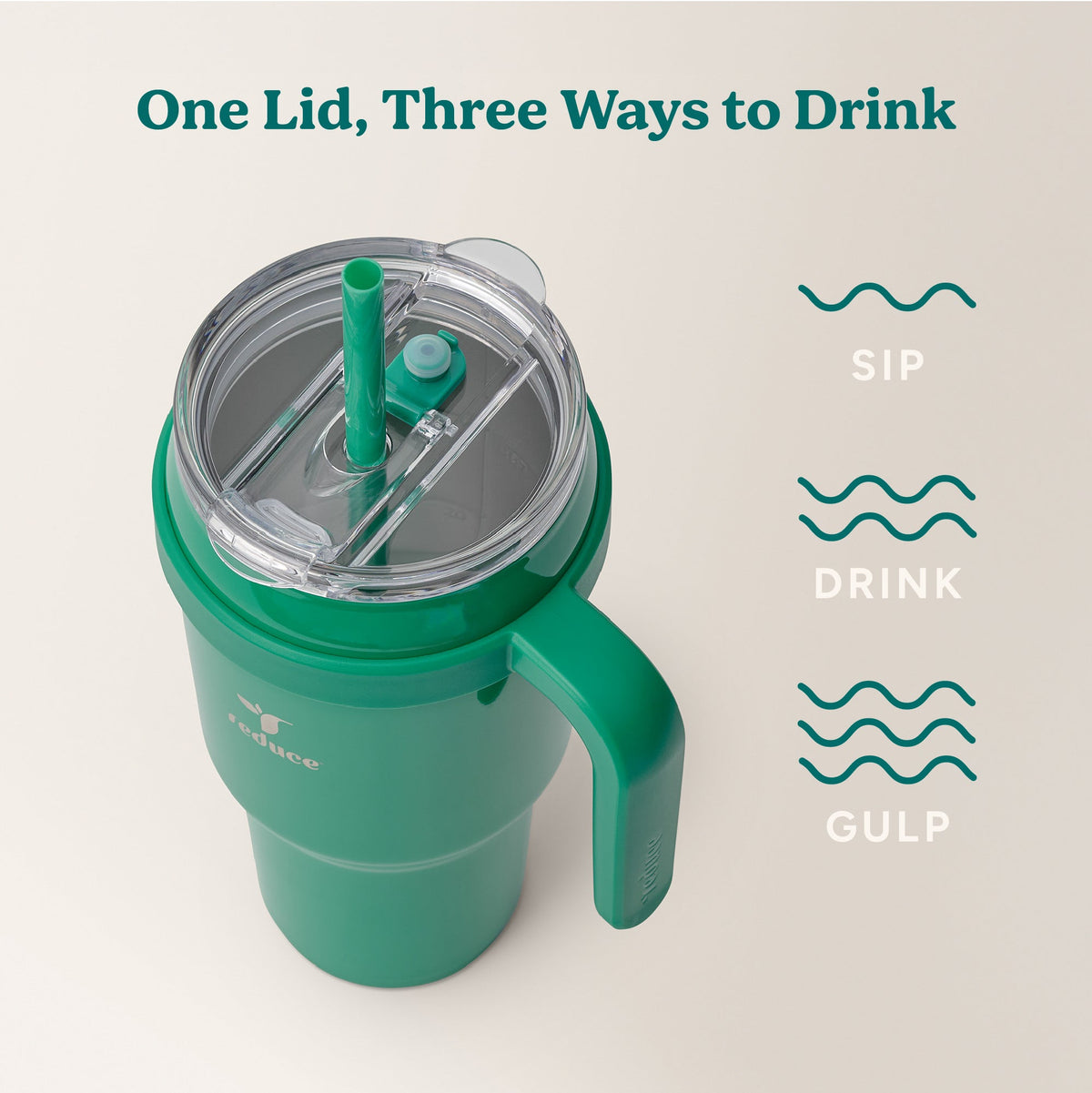 cold1-40-oz-j4 Cold1_40oz_PalmLeaf_Infographic_3.jpg