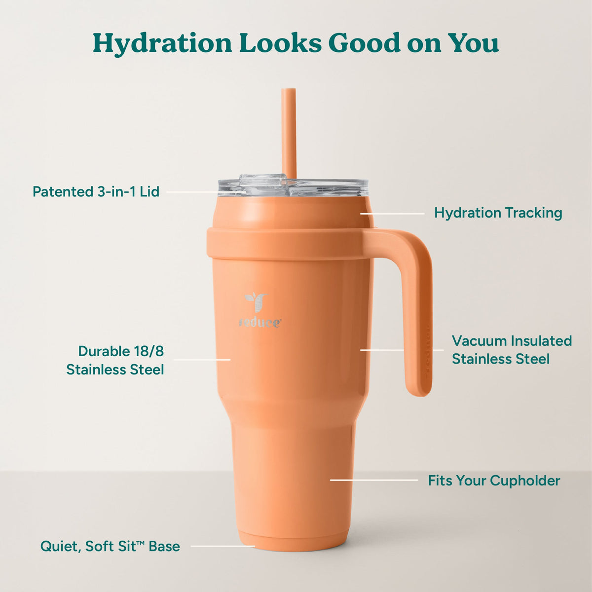 cold1-40-oz-j4 Cold1_40oz_Papaya_Infographic_2.jpg